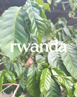 Rwanda