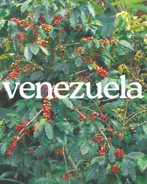 Venezuela
