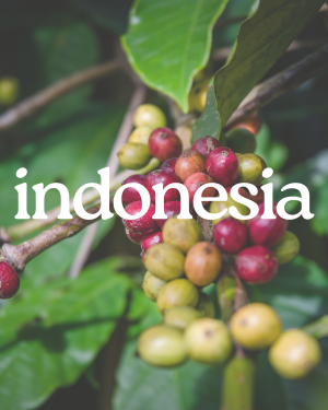 Indonesia